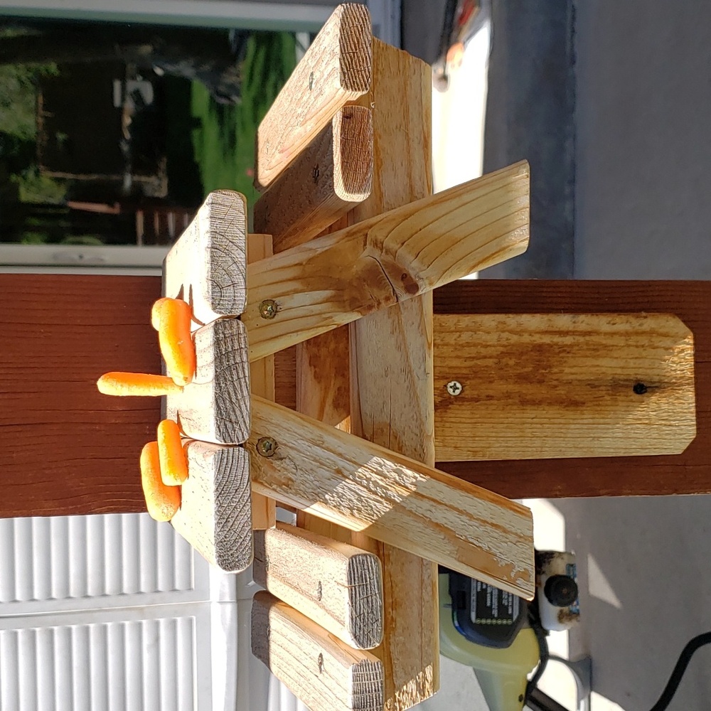 Squirrel Feeders & other animal.Made out of real wood to resemble a picnic table